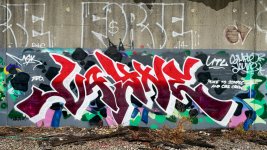 IMG_2571.jpeg