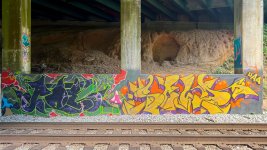 IMG_2570.jpeg
