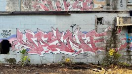 IMG_2568.jpeg