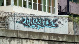 IMG_2580.jpeg