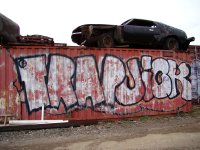 IMG_2485.jpeg