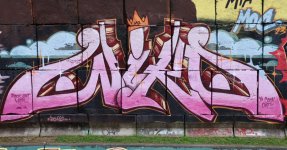 IMG_2515.jpeg