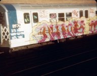 IMG_8270.jpeg