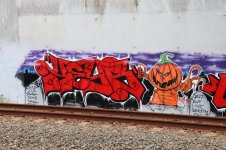 IMG_3449.jpeg