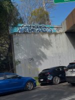 IMG_3797.jpeg