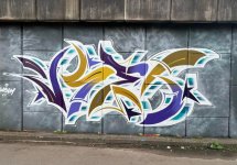 IMG_4510.jpeg