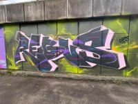 IMG_4504.jpeg