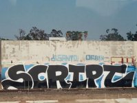 IMG_4531.jpeg