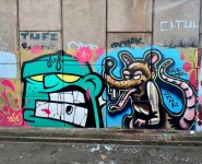 IMG_4503.jpeg