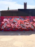 IMG_4497.jpeg