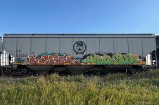 IMG_3755.jpeg