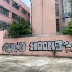 IMG_3516.jpeg