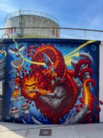 IMG_2703.jpeg