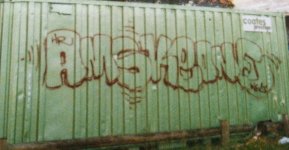 IMG_4777.jpeg