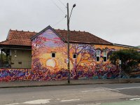 IMG_4803.jpeg
