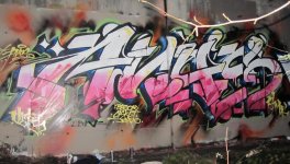 vi-anus5.jpg