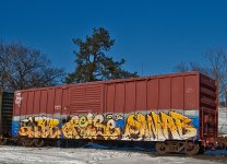 IMG_4486.jpeg