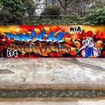 IMG_5550.jpeg