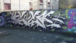 IMG_5608.jpeg