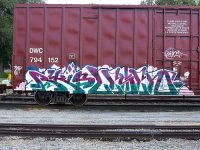 IMG_5606.jpeg