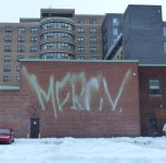 403029.jpg