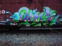 dzo32005.jpg