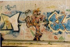 IMG_5775.jpeg