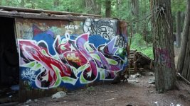 IMG_5664.jpeg