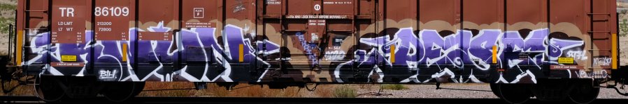 Benching_Freight_Train_Graffiti_in_SoCal_(August_20th_2021)_(51410935782).jpg