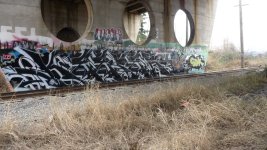 IMG_5651.jpeg