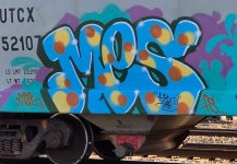 IMG_5795.jpeg