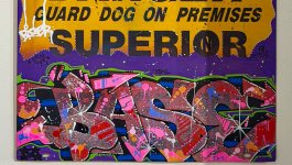 IMG_2576.jpeg