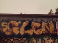 IMG_6233.jpeg
