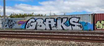 IMG_5834.jpeg