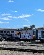 IMG_6469.jpeg