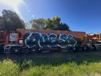 IMG_6521.jpeg