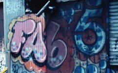 IMG_7008.jpeg