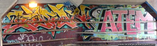 07170763.jpg