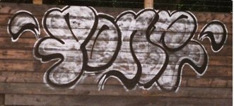 pone03.jpg