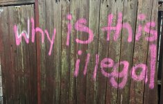 why-graffiti-photo-feature-1.jpg