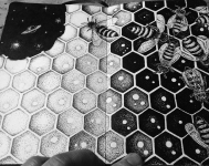 05-Honey-Bees-mrc_artworks-Sketchinack-co.png