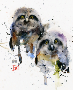 11-Owlets-Owls-Dean-Crk-co.png