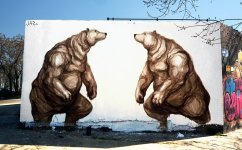 bears-773x480.jpg